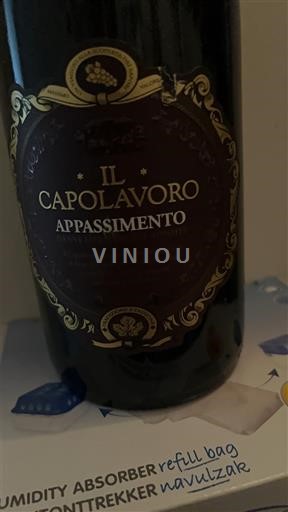 Marche Rosso Conero Il Capolavoro Appassimento 2021