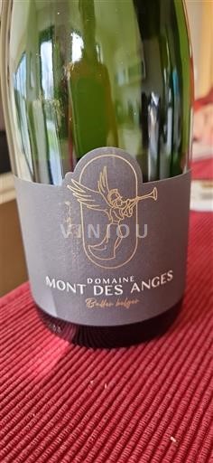 Valonia Wallonia Domaine Mont des Anges 2023