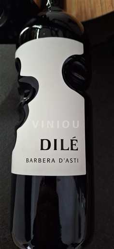 Piemonte Barbera d'Asti Santero Dilé 2013