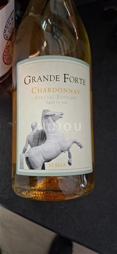 Venetia Grande Forte Special Edition 2015