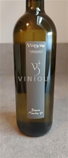 Marche Vibore Caranucci vt Nemilésimat