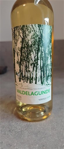 Castilia și León Rueda Valdelagunde 2019