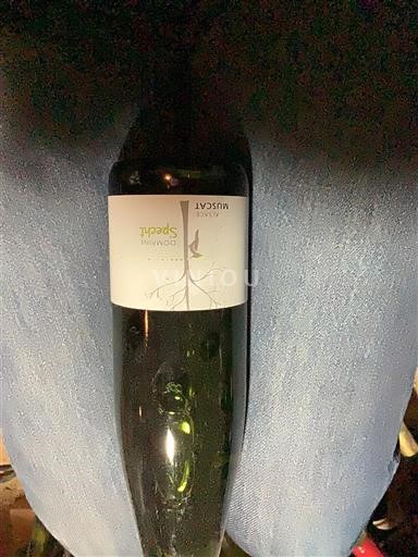 Alsacia Muscat Domaine Specht 2021