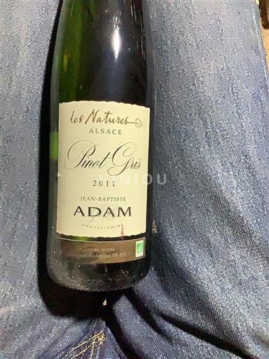 Alsacia Jean-Baptiste Adam Les Natures 2011