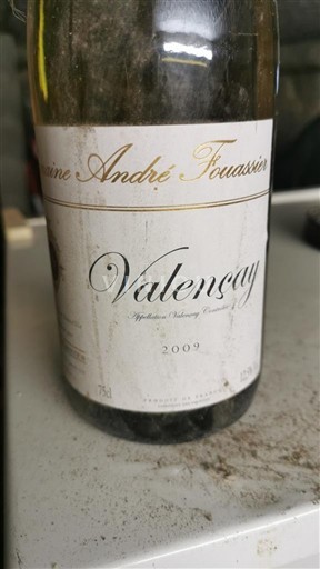 Valea Loarei Valençay Domaine André Fouassier 2009