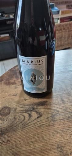 Languedoc și Roussillon Vin de Pays d'Oc Marius 2023