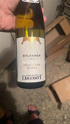 Alsacia Cave du Roi Dagobert Sylvaner 2023
