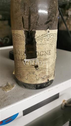 Burgundia Bourgogne-aligoté Domaine Domaine 1997