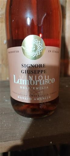 Emilia-Romagna Lambrusco Signore Giuseppe Dell'Emilia Nemilésimat