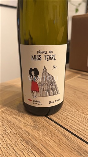 Alsacia Stroebel Mamsell Ard Miss Terre Nemilésimat