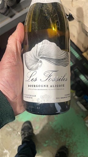 Burgundia Bourgogne-aligoté Domaine Terres de Velle Les Fossiles 2018