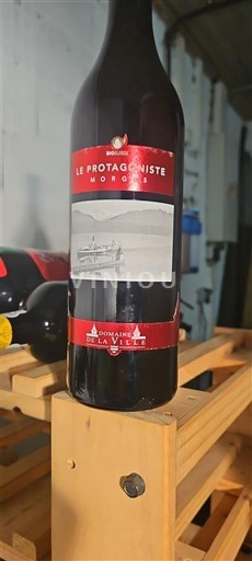 Vaud Nespecificat Domaine La Ville Le Protagoniste Nemilésimat