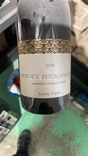 Burgundia Dealurile Burgundiei Levert Frères 2016