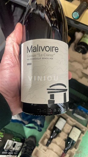 Ontario Beamsville Bench Malivoire Gamay Le Coeur 2022