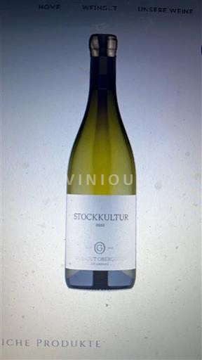 Burgenland Neusiedlersee Weingut Tschida Stockkultur 2022