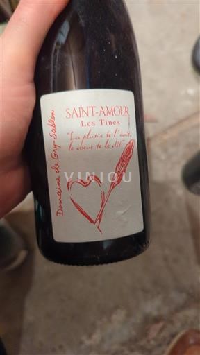 Beaujolais Saint-Amour Domaine Gry-Sablon Les Tines 2017