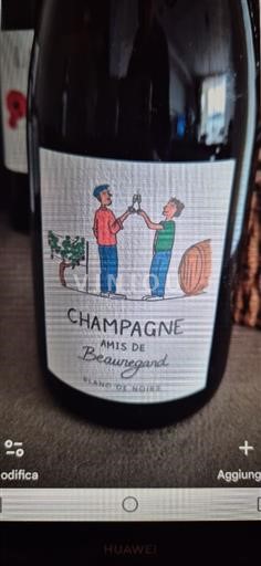 Champagne Șampanie Amis de Beaurgard Nemilésimat