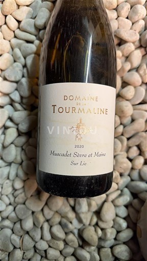 Valea Loarei Muscadet-Sèvre și Maine Domaine La Tourmaline 2020