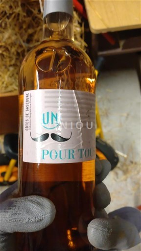 Sud-Vest Côtes de Gascogne Un Pour Tous 2018