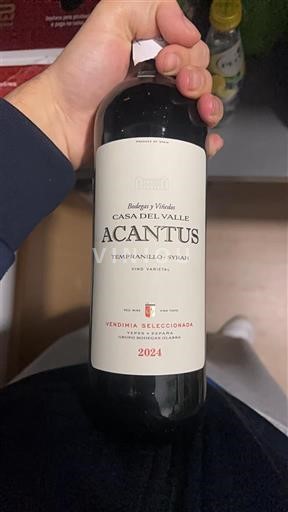 Castilia-La Mancha Nespecificat Casa del Valle Acantus 2024