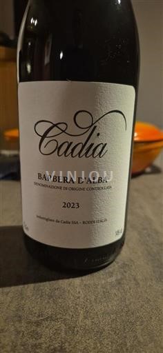 Piemonte Barbera d'Alba Cadia 2023