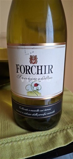 Friuli-Venezia Giulia Venezia Giulia Forchir Sauvignon Lâltro 2022