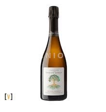Champagne Șampanie Domaine Laguille L inanttendue Nemilésimat