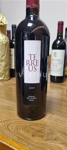 Castilia și León Bodegas Mauro Terreus 2009