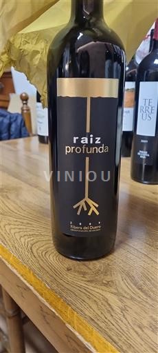Castilia și León Ribera del Duero Raiz Profunda 2009