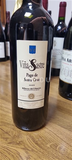 Castilia și León Ribera del Duero Viña Sastre Pago de Santa Cruz 2009