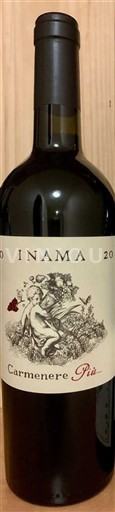 Venetia Inama Carmenere Più 2020