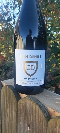 Vinuri Rouge sec 2023 Dom d'Enise Non millésimé Franța Languedoc și Roussillon Cité de Carcassonne IGP