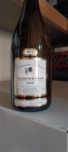 Dolina Loare Мускаде-Севр-е-Мен Domaine Salmon Istré d'Aborn 2022