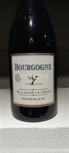 Rượu vang Blanc demi-sec DUFOUR Père & Fils 2023 Pháp Bourgogne AOC