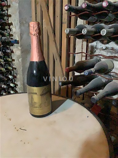 Rượu vang sủi bọt Rosé brut Gérard Villet Non millésimé Pháp Jura Arbois AOC