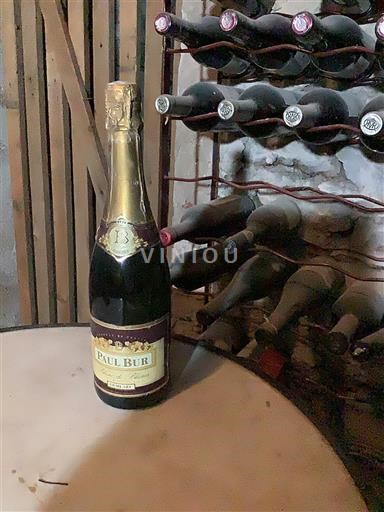 Nespecificat Paul Bur Nemilésimat