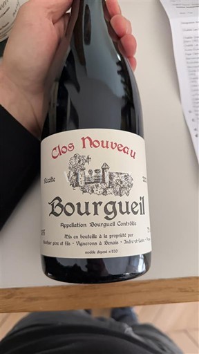 Vinuri Rouge sec Clos Nouveau Vignerons à Benais - André et Luc Perreau père et fils 2021 Franța Valea Loarei Bourgueil AOC