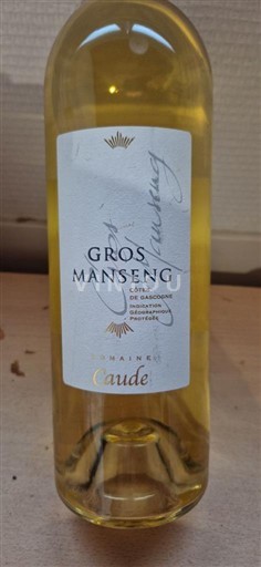 Vinuri Blanc sec Gros Manseng Domaine Caude 2022 Franța Sud-Vest Côtes de Gascogne IGP