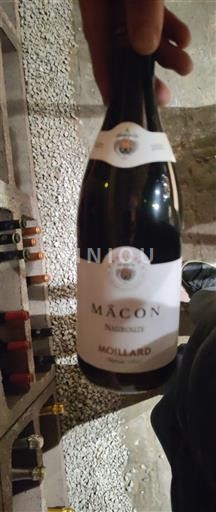 Borgoña Mâcon y Mâcon-villages Moillard Sin añada