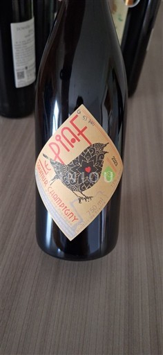 Vinuri Rouge sec Le Piaf Domaine Des Clos Maurice 2023 Franța Valea Loarei Saumur-Champigny AOC