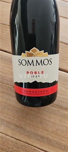 Wines Rouge sec Roble Sommos 2023 Spain Aragon Somontano DO