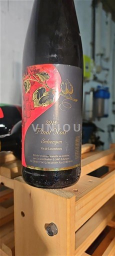 Vinuri Rouge sec Pinot noir 2018 Gloden 2018 Luxemburg Mosela luxemburgheză Schengen