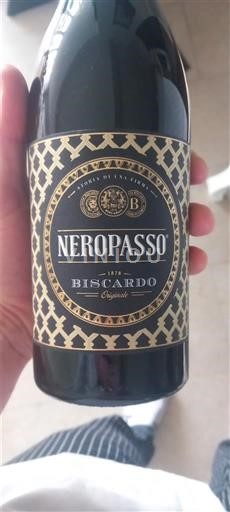 Vinuri Rouge sec Neropasso Biscardo 2022 Italia Venetia DOC