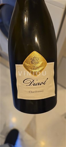 Wines Blanc sec Diaol Non millésimé France Burgundy Burgundy Chardonnay AOC