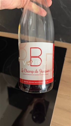 Vinuri Rouge sec Le Champ de Jacques Domaine Bérioles Non millésimé Franța Valea Loarei Saint-Pourçain AOC