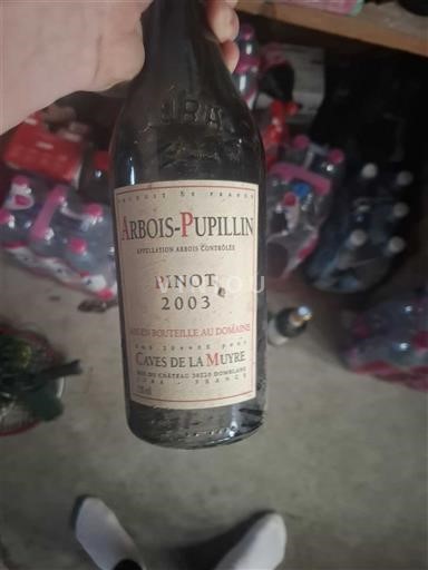 Žura Arbois-Pupillin Caves de la Mure 2003