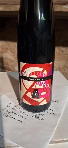 Vinuri Rouge sec Pinot Noir Anstotz & Fils 2022 Franța Alsacia Pinot noir AOC
