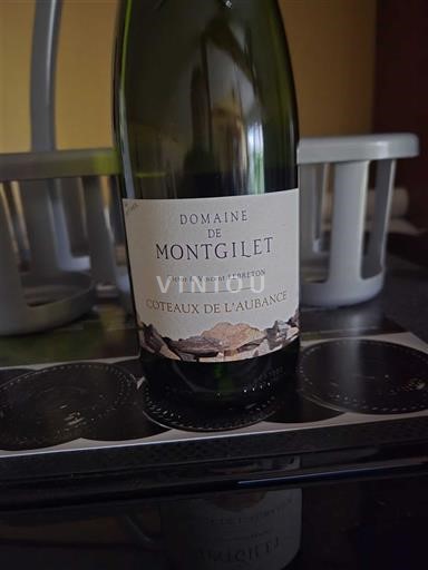 Loire Valley Coteaux de l'Aubance Domaine Montgilet 2022