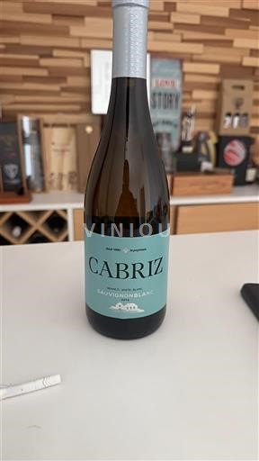 Portugalia Dão Cabriz Sauvignon Blanc Nemilésimat