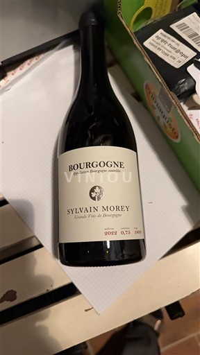 Vinuri Rouge sec Sylvain Morey 2022 Franța Burgundia AOC